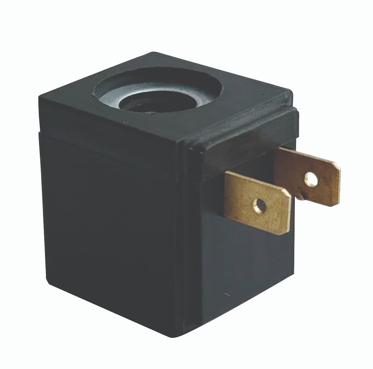 Geri Vites Kornaları